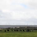 Studland Bay Wind Farm