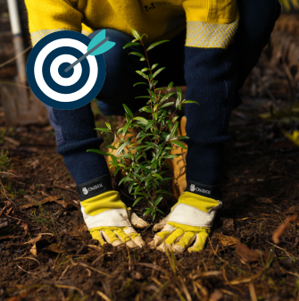 Two hands patting a plant into the ground. The person is wearing yellow gloves and a high-vis jumper.